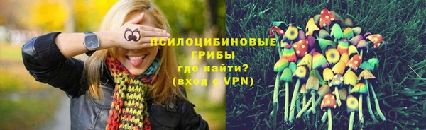 твердый Волоколамск