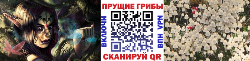 Псилоцибиновые грибы ЛСД  Ялта 